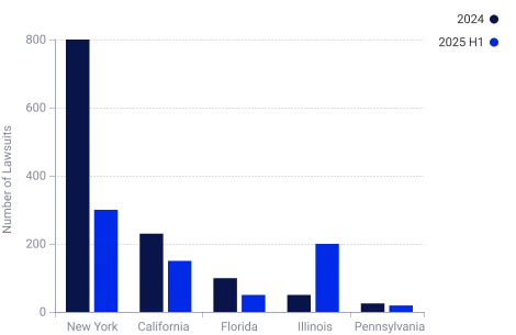 State Comparison of ADA Website Lawsuits (2024 vs 2025)