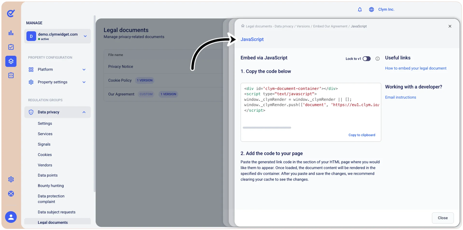 JavaScript embed code
